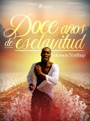 cover image of Doce años de esclavitud